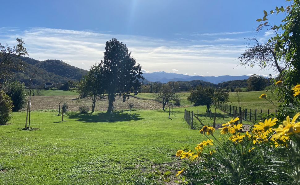 Belle Maison Souletine à la Lisière du village avec Vue Dégagé des Montagnes